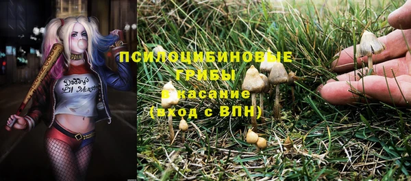 стафф Беломорск